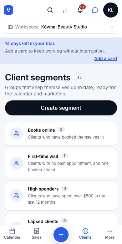 Self-updating client segments (new, lapsed, birthdays and so on) — The ready-made segments — Phone